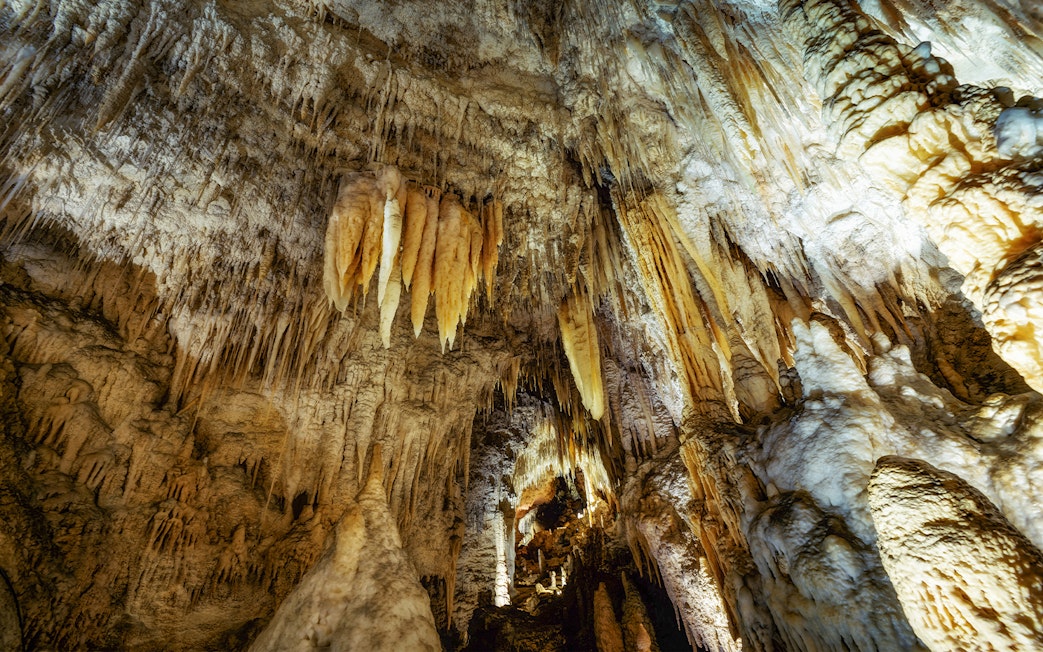 Stalactites in Waitomo Caves, New Zealand, part of the Auckland to Rotorua & Te Puia tour.