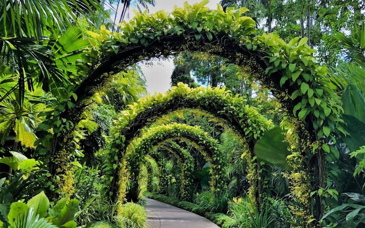 Lush green arches in National Orchid Garden, Singapore.