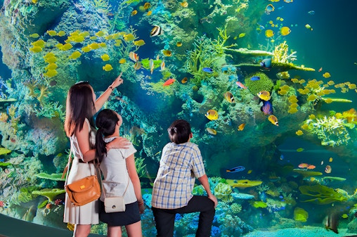 Ingressos para o Singapura Oceanarium