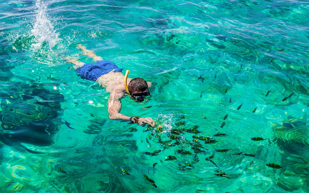 Snorkeler exploring clear waters with fish at Phi Phi Island, Phuket, Thailand.