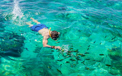 Snorkeler exploring clear waters with fish at Phi Phi Island, Phuket, Thailand.