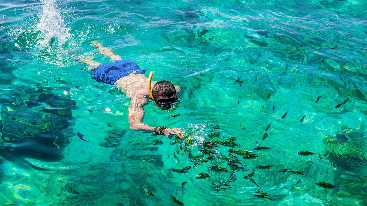Man snorkeling in clear waters at Phi Phi Island, Phuket, Thailand.