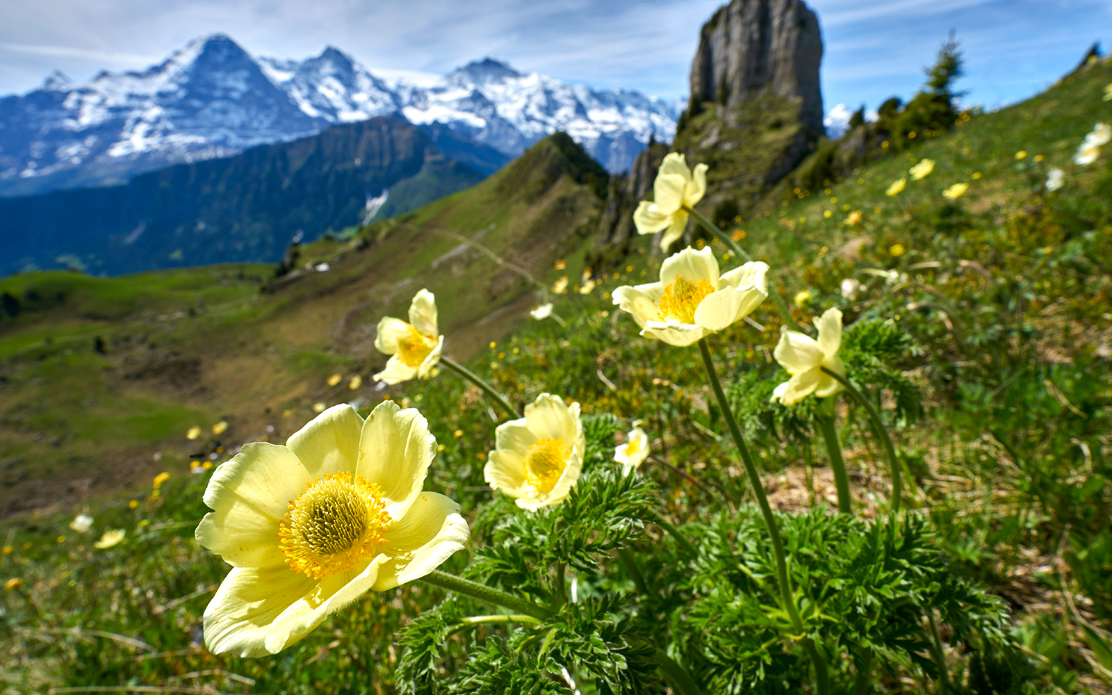 Schynige Platte Tickets