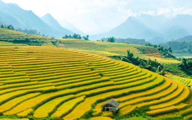 Cat Cat Village Small-Group Guided Tour from Sapa Town