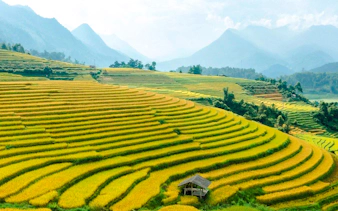 cat cat village small-group guided tour from sapa town-1