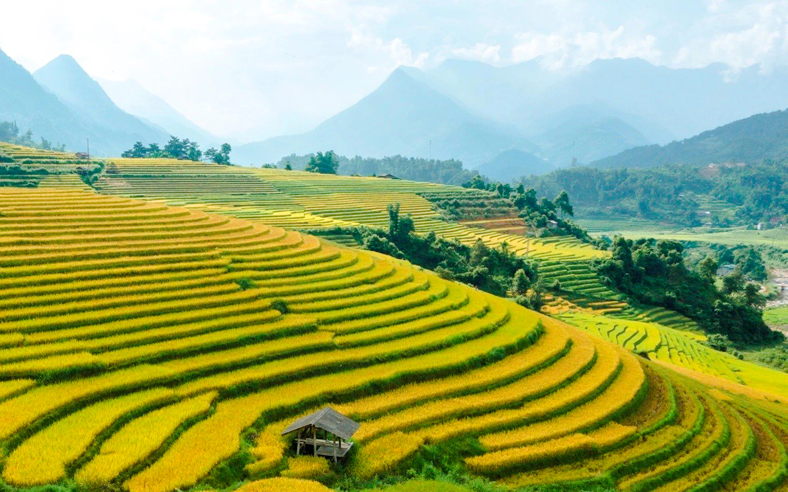 Cat Cat Village Small-Group Guided Tour from Sapa Town (Product 53602)