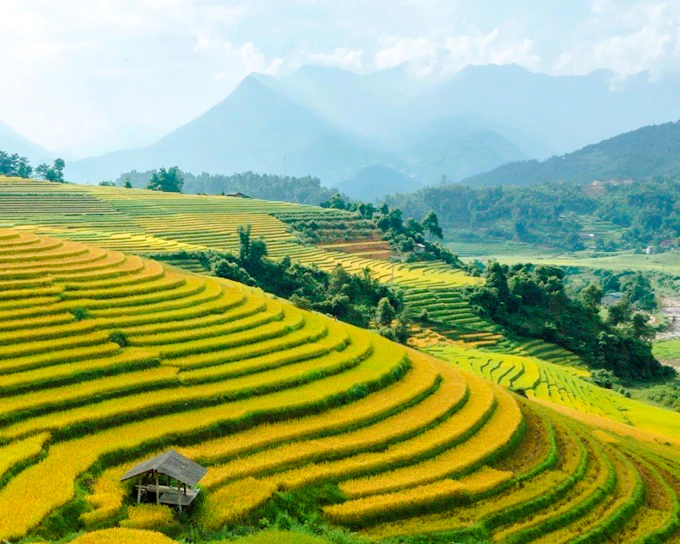 Cat Cat Village Small-Group Guided Tour from Sapa Town (Product 53602)