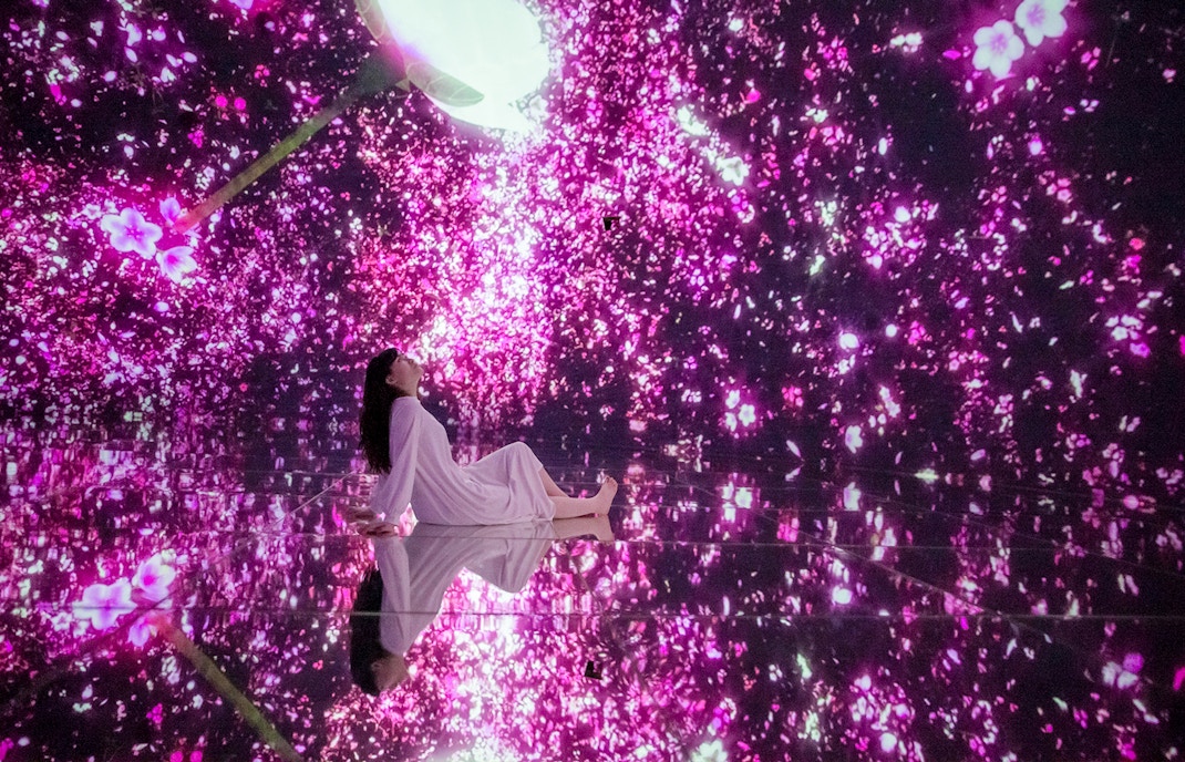 TeamLab Tokyo digital art exhibit with vibrant floating flowers in immersive display.
