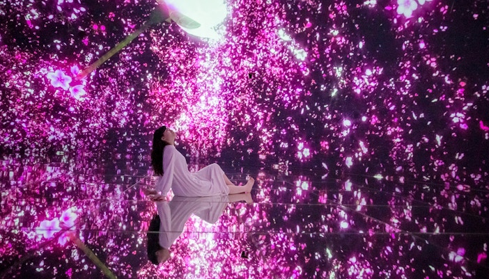 TeamLab Tokyo digital art exhibit with vibrant floating flowers in immersive display.