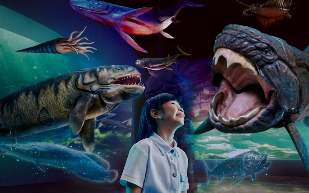 Child observing prehistoric marine creatures at SG Oceanarium, Singapore.