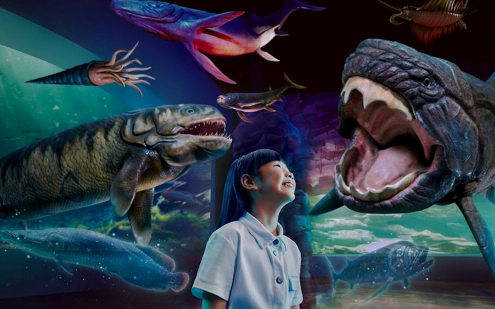 Child observing prehistoric marine creatures at SG Oceanarium, Singapore.