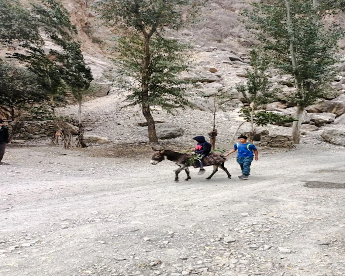 From Samarkand: Seven Lakes of Tajikistan Tour