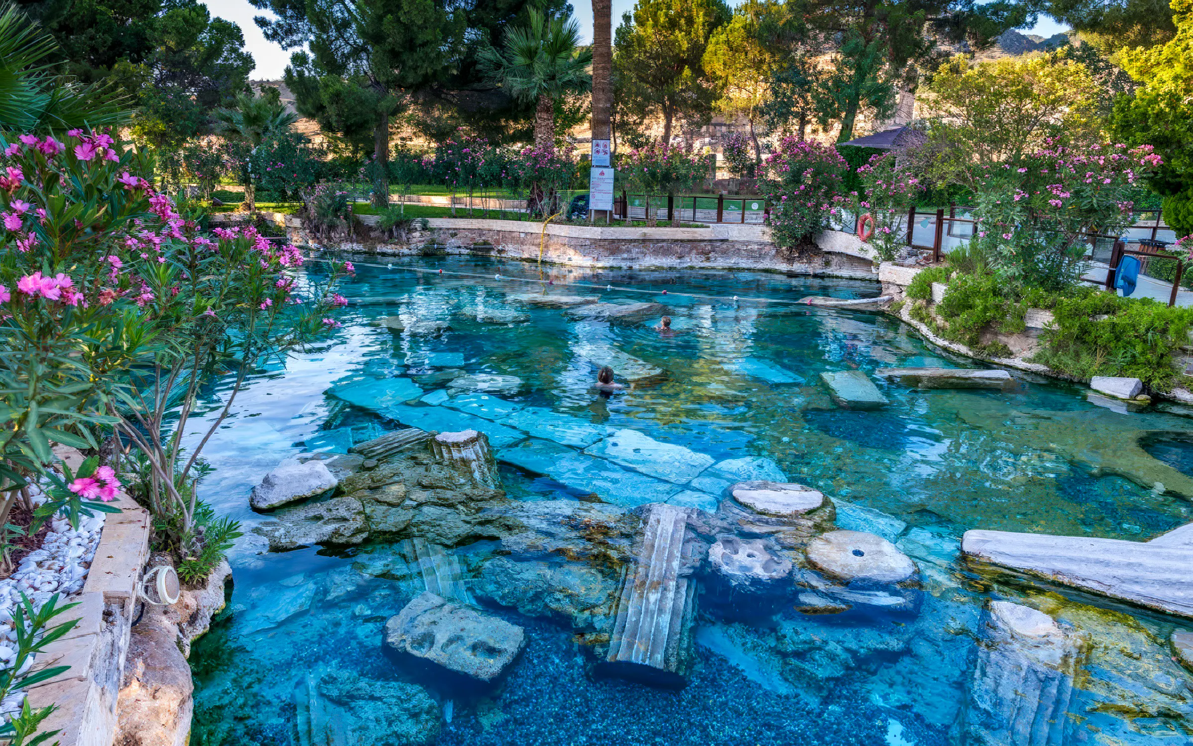 Ancient thermal pool with submerged ruins at Pamukkale, Turkey, surrounded by lush greenery.