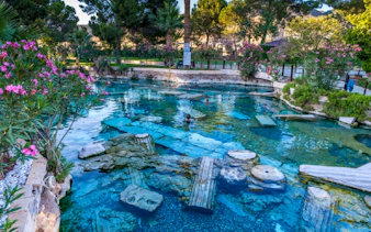 Ancient thermal pool with submerged ruins at Pamukkale, Turkey, surrounded by lush greenery.