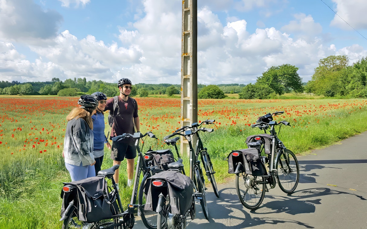 Cyclists with bikes near a poppy field on a sunny day.