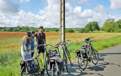 Cyclists with bikes near a poppy field on a sunny day.