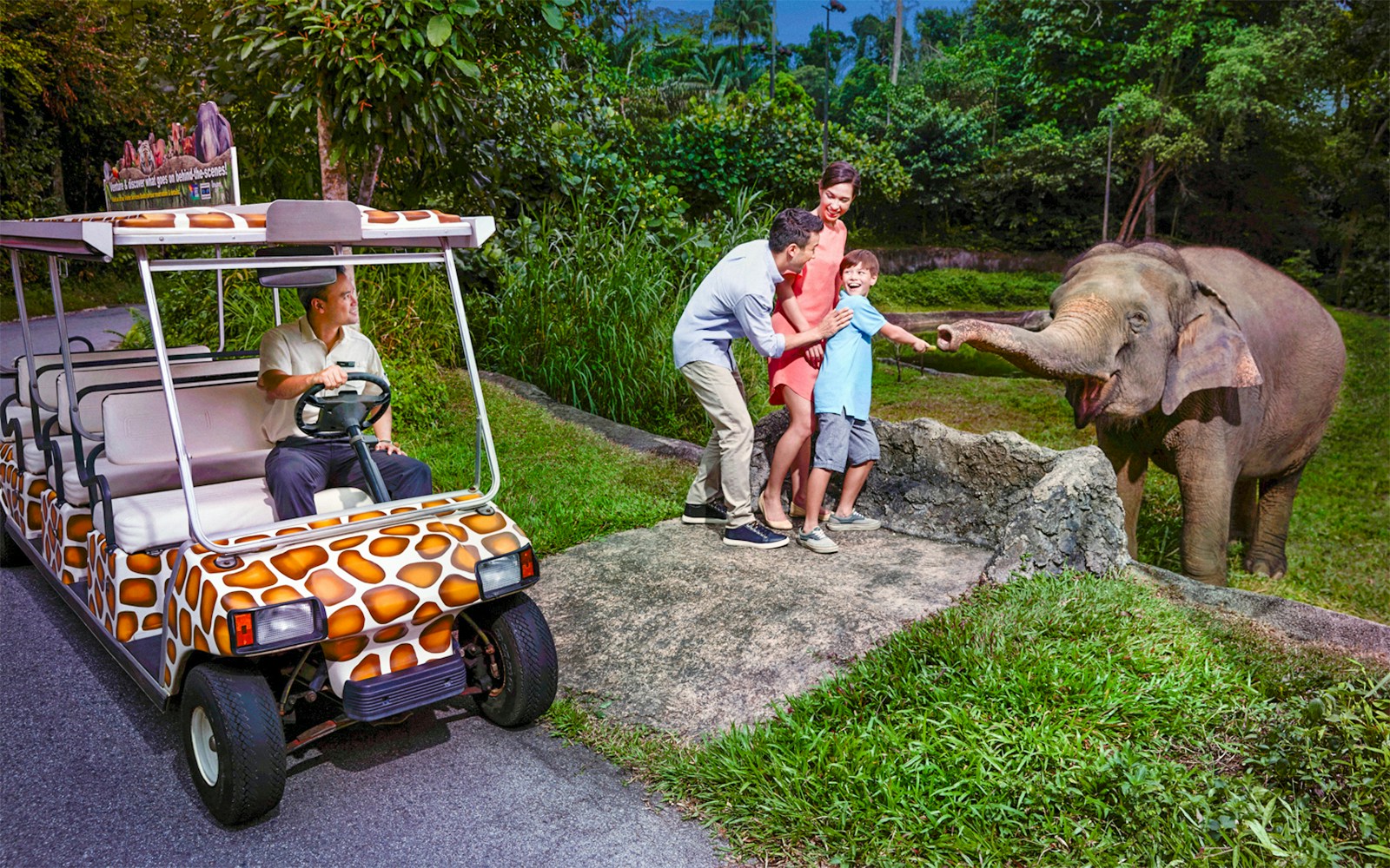 Visitors exploring Night Safari Singapore tram ride amidst lush rainforest.