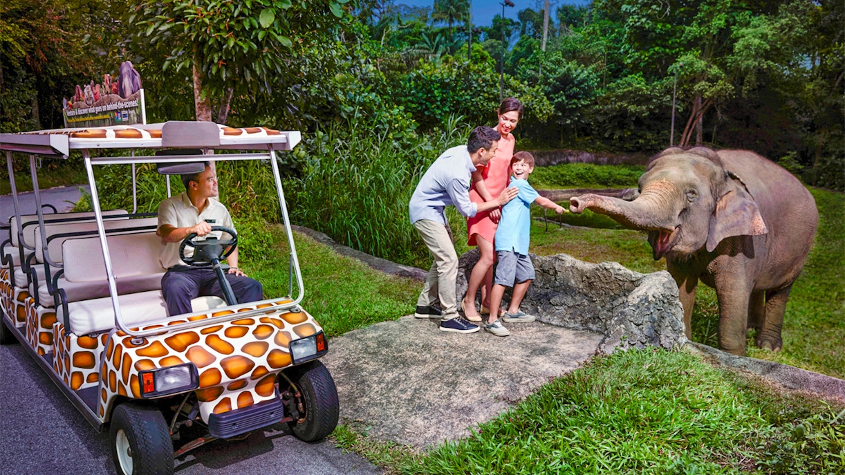 Night Safari Singapore