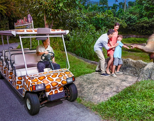 Night Safari Singapore