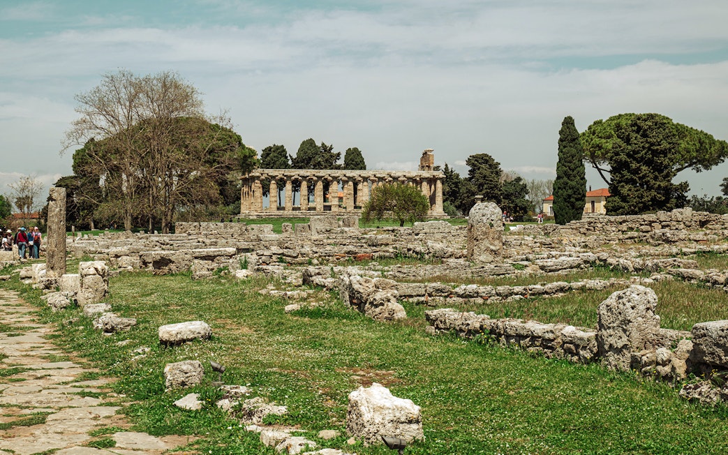 Paestum archaeological site with ancient ruins and temple in Italy.