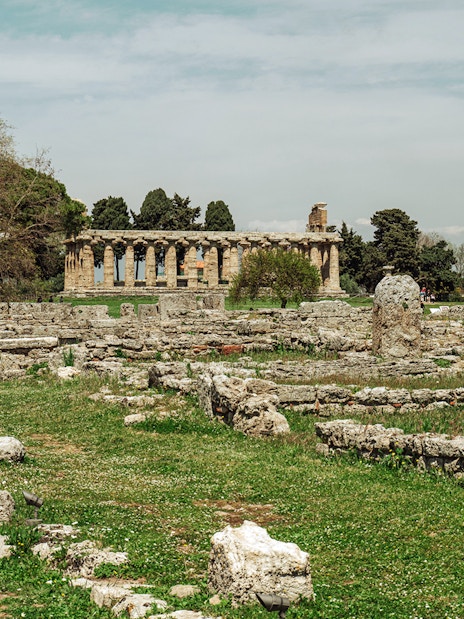 Paestum archaeological site with ancient ruins and temple in Italy.