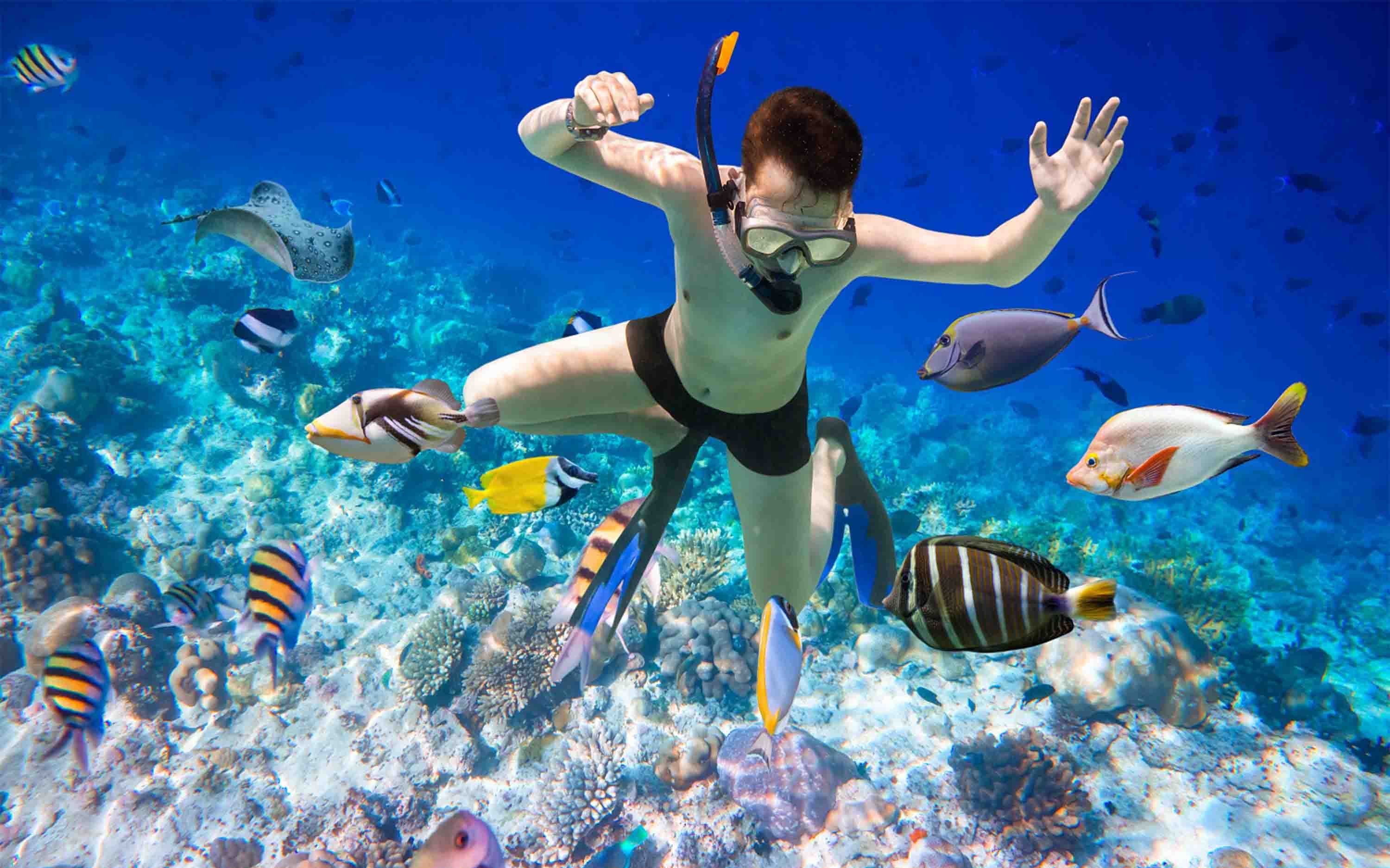 Snorkeler surrounded by colorful fish at Giftun Island, Hurghada.