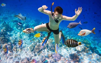 Snorkeler surrounded by colorful fish at Giftun Island, Hurghada.