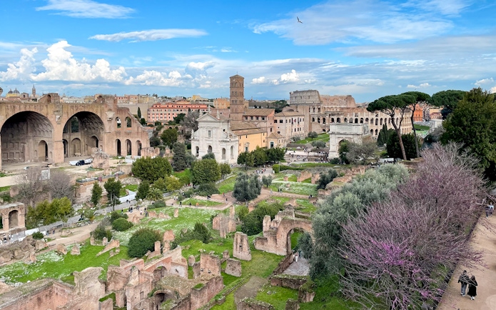Ancient ruins of Palatine Hill and Roman Forum in Rome with surrounding greenery.