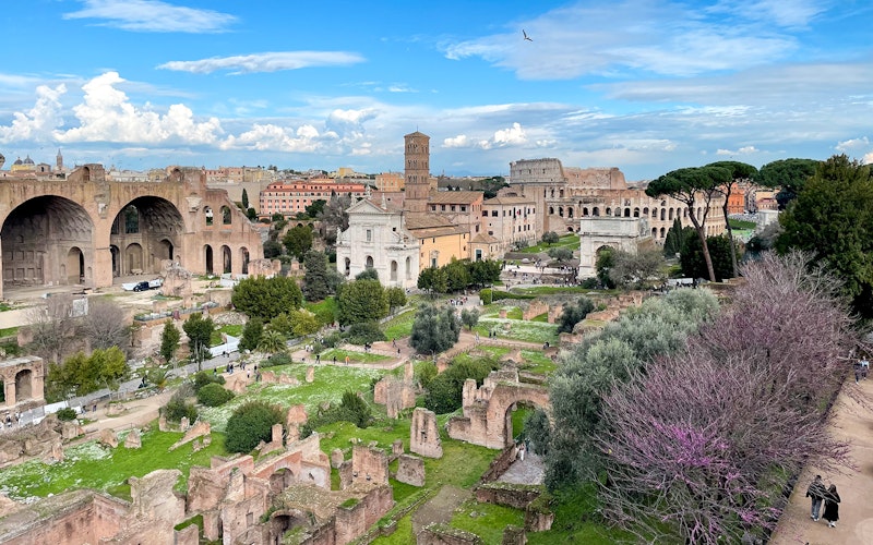 Combo (Save 9%): Colosseum + Vatican Museums Access — gallery 5