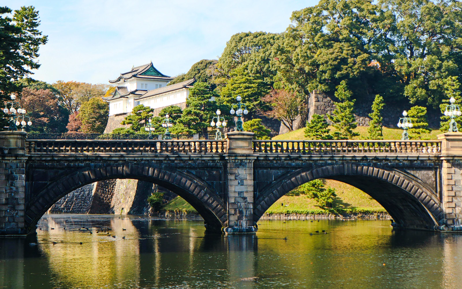 Tokyo Imperial Palace Guided Tour: Royal Family History & Origin of Tokyo (Product 56075)