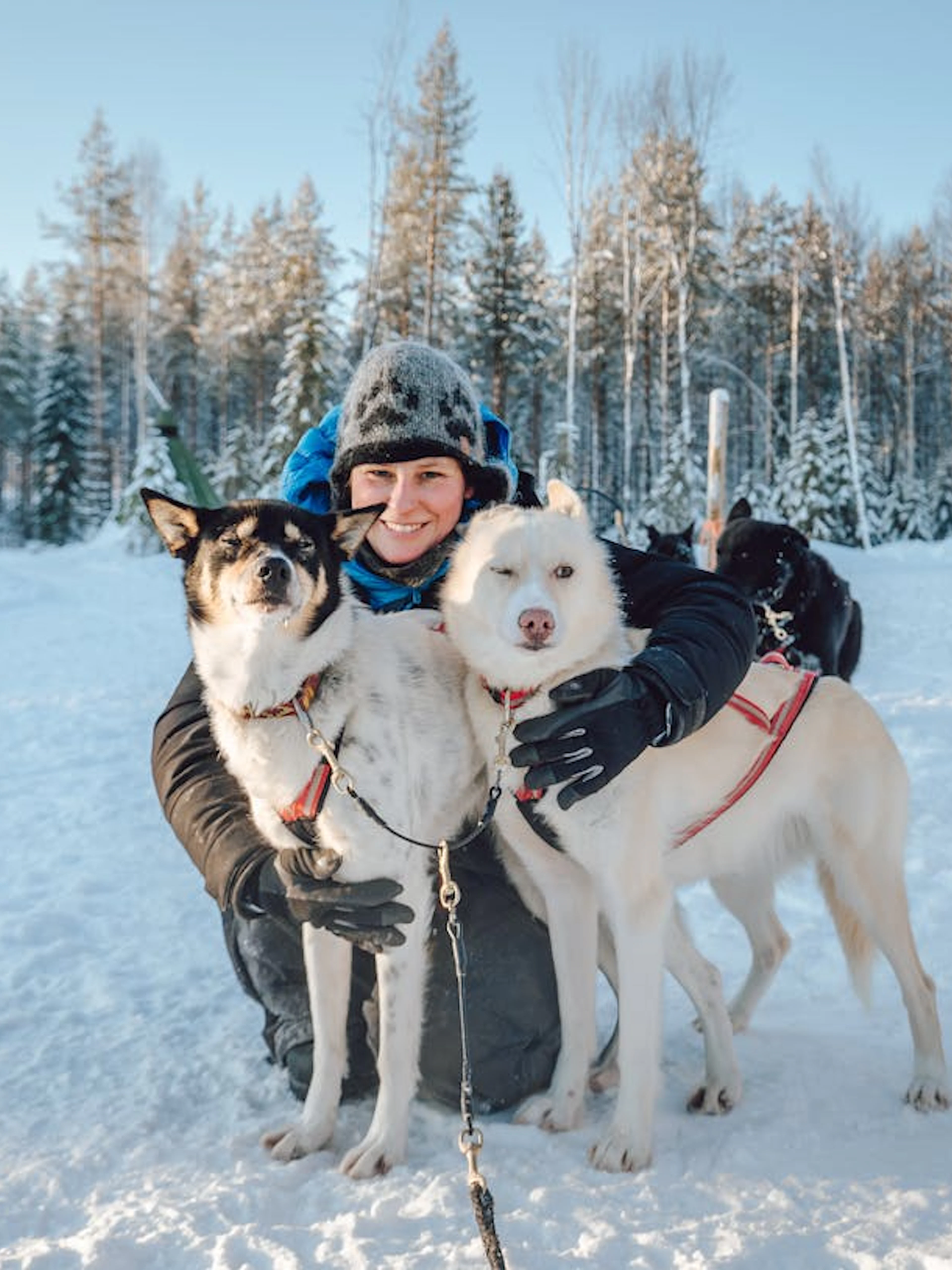 rovaniemi: nulkki husky adventure-1