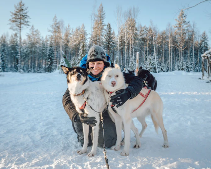 Rovaniemi: Nulkki Husky Adventure (Product 42733)