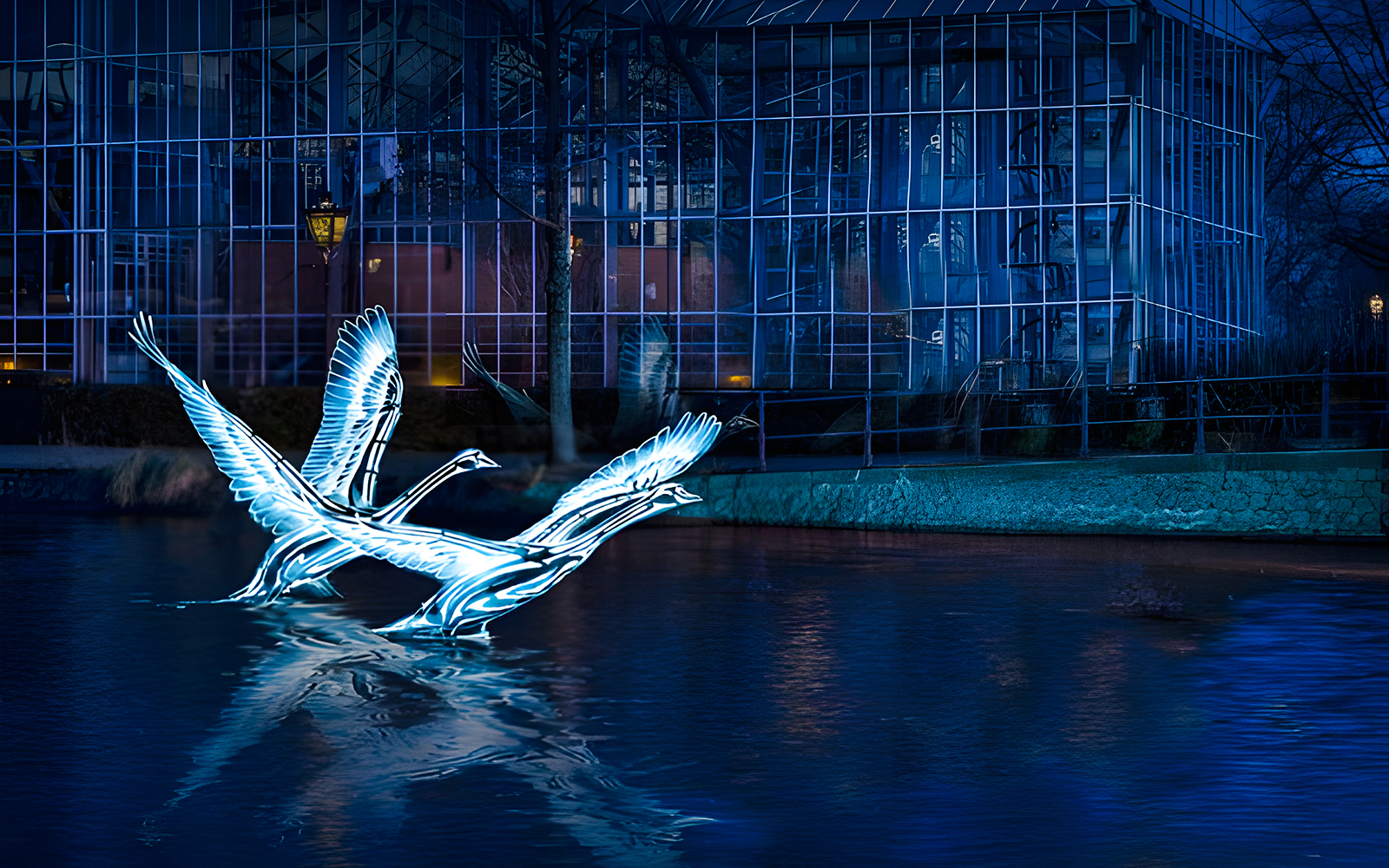 Illuminated swan sculptures on Amsterdam canal during Light Festival cruise.