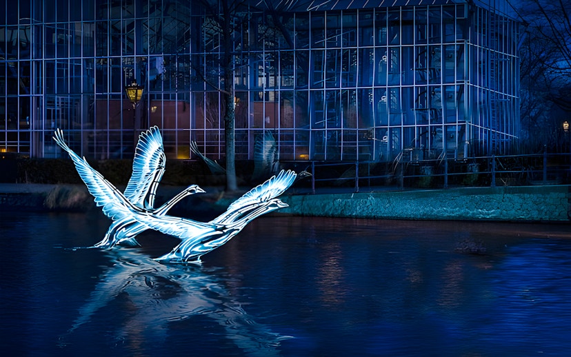 Illuminated swan sculptures on Amsterdam canal during Light Festival cruise.