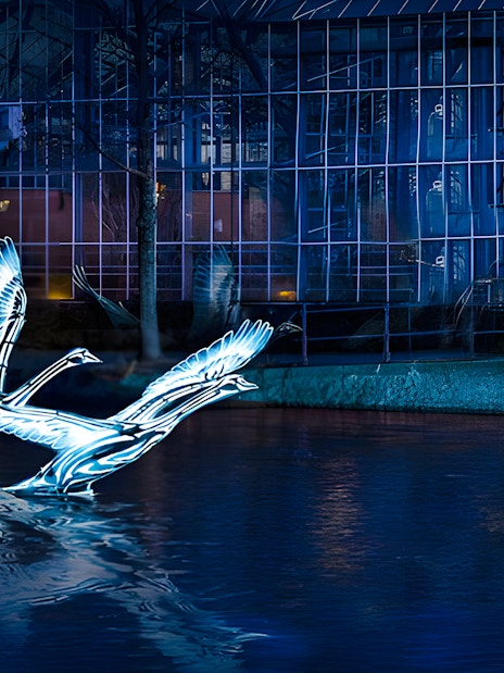 Illuminated swan sculptures on Amsterdam canal during Light Festival cruise.
