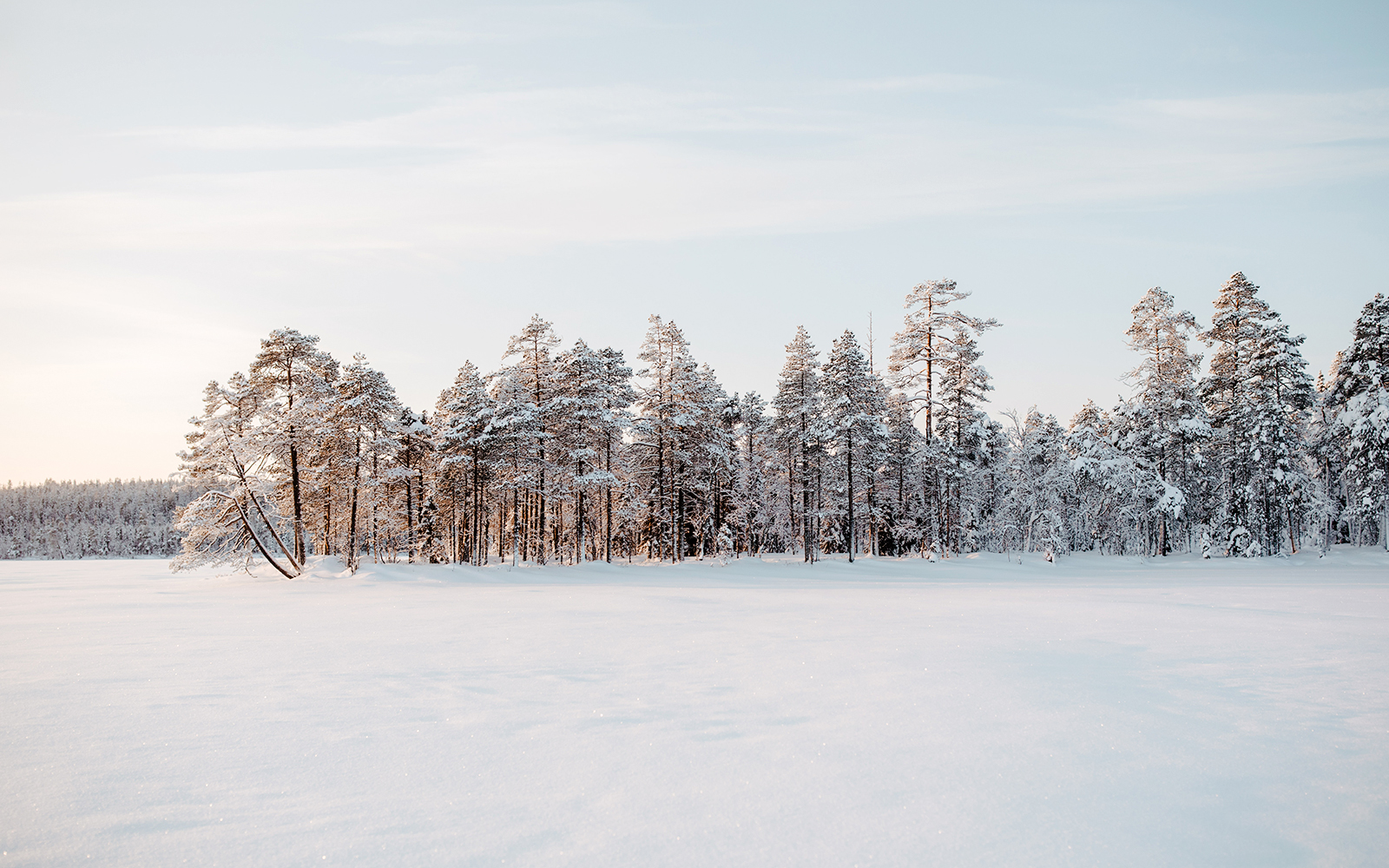 Frozen lake surrounded by snow-covered trees in Rovaniemi, Finland.