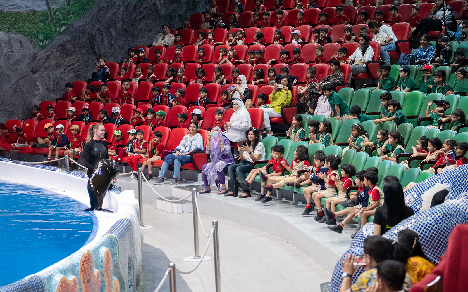 Couple of dolphins performing on a crowded day at Dubai Dolphinarium