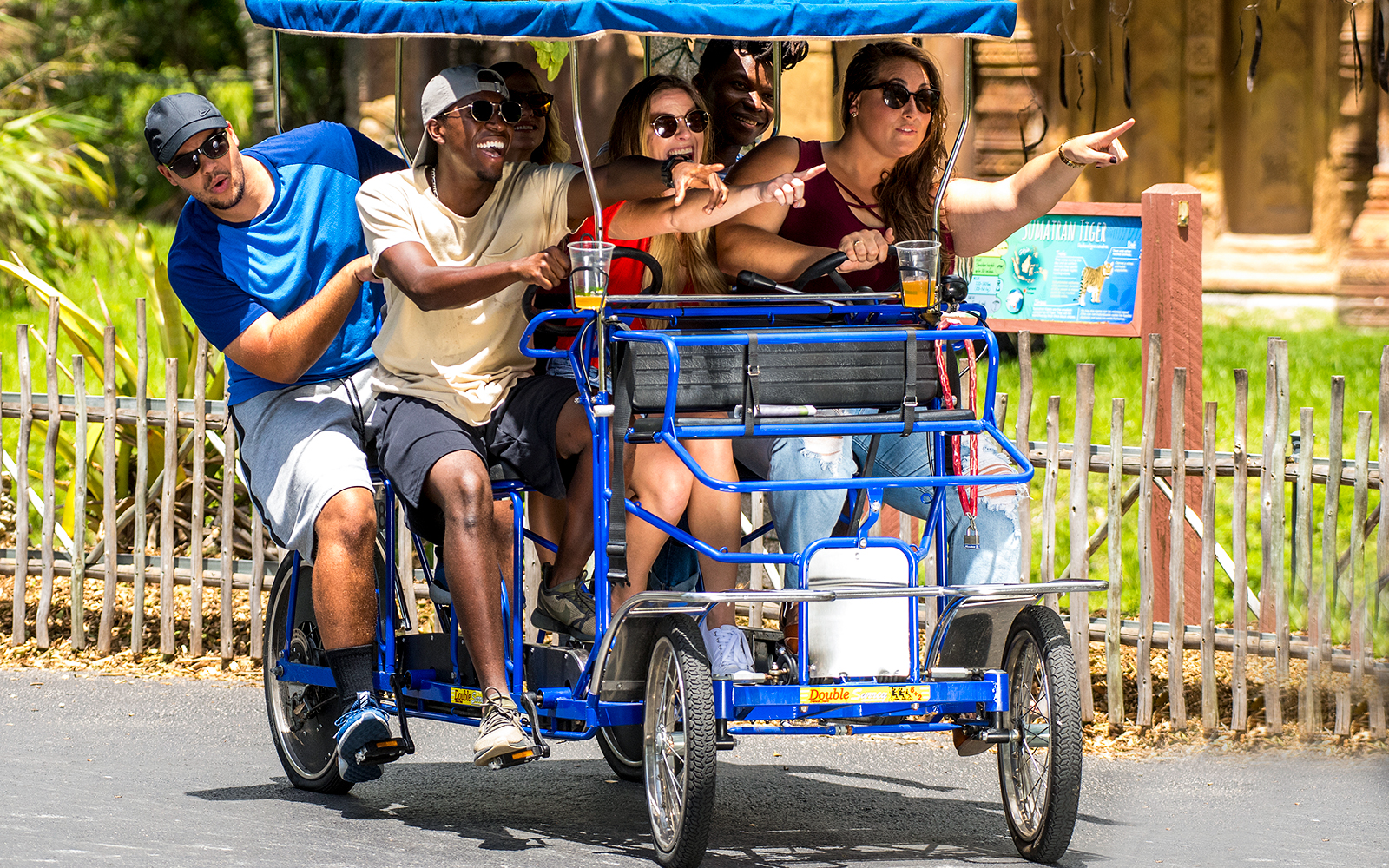 Adults enjoying a group safari cycle ride, pointing at attractions.