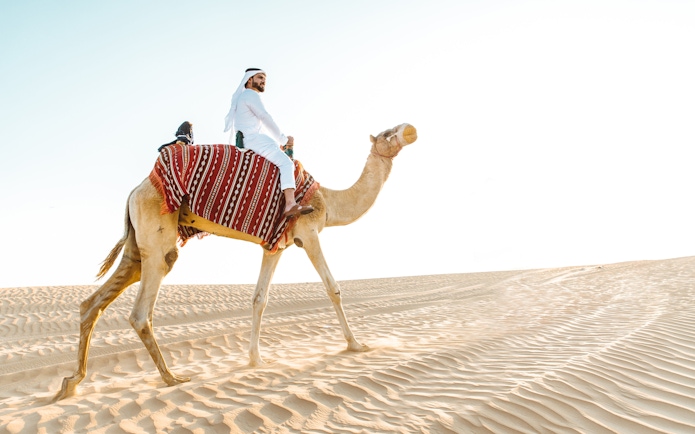 Camel ride through Abu Dhabi desert dunes.