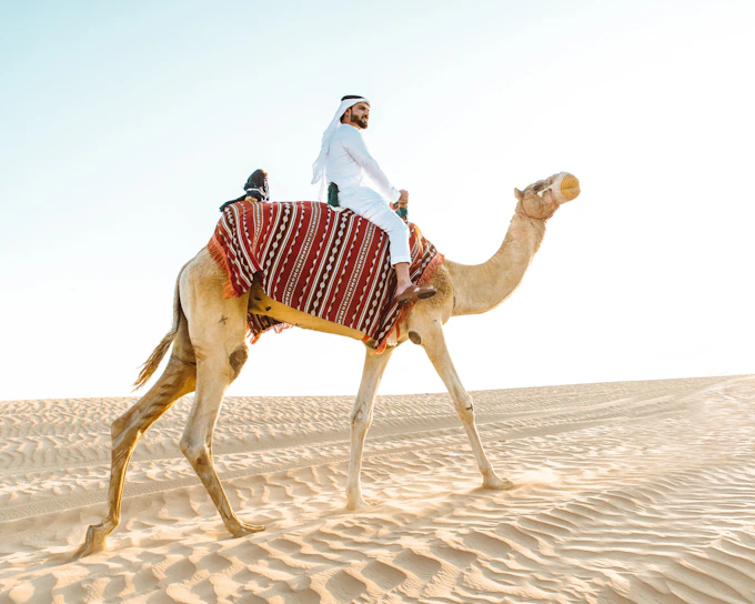 Abu Dhabi Camel Trekking Safari with Arabic Coffee & Dates