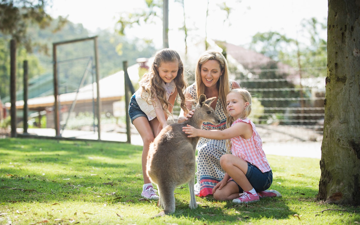 Family interacting with a kangaroo at Paradise Country, Australia.