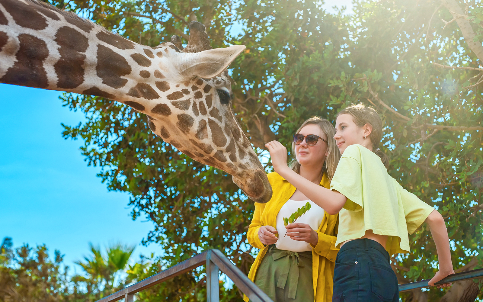 Zoo Miami Tickets | Discover Species from Across the World