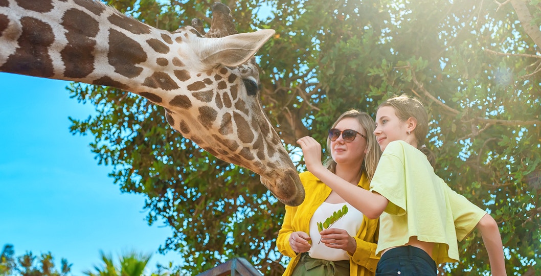 Bronx Zoo