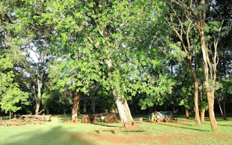 Karen Blixen Museum grounds with vintage farm equipment and lush trees.