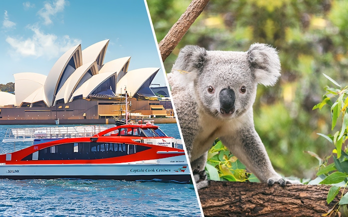 Sydney Opera House with Captain Cook Cruises ferry and koala at Taronga Zoo.