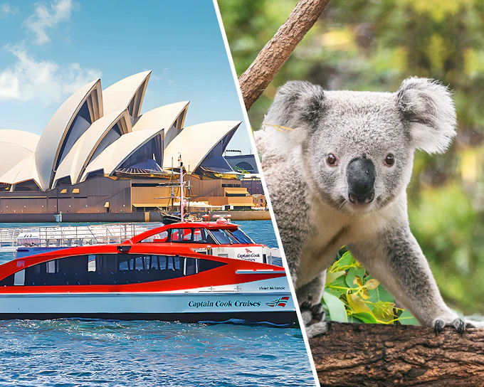 Combo: Captain Cook Cruises 2-Day Hop-On-Hop-Off Cruise + Taronga Zoo Tickets