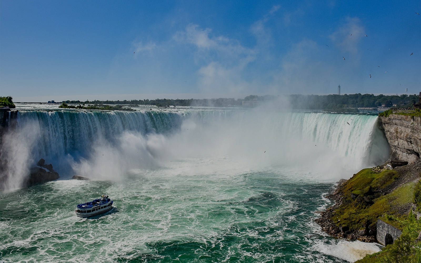 Cruceros por las cataratas del Niágara