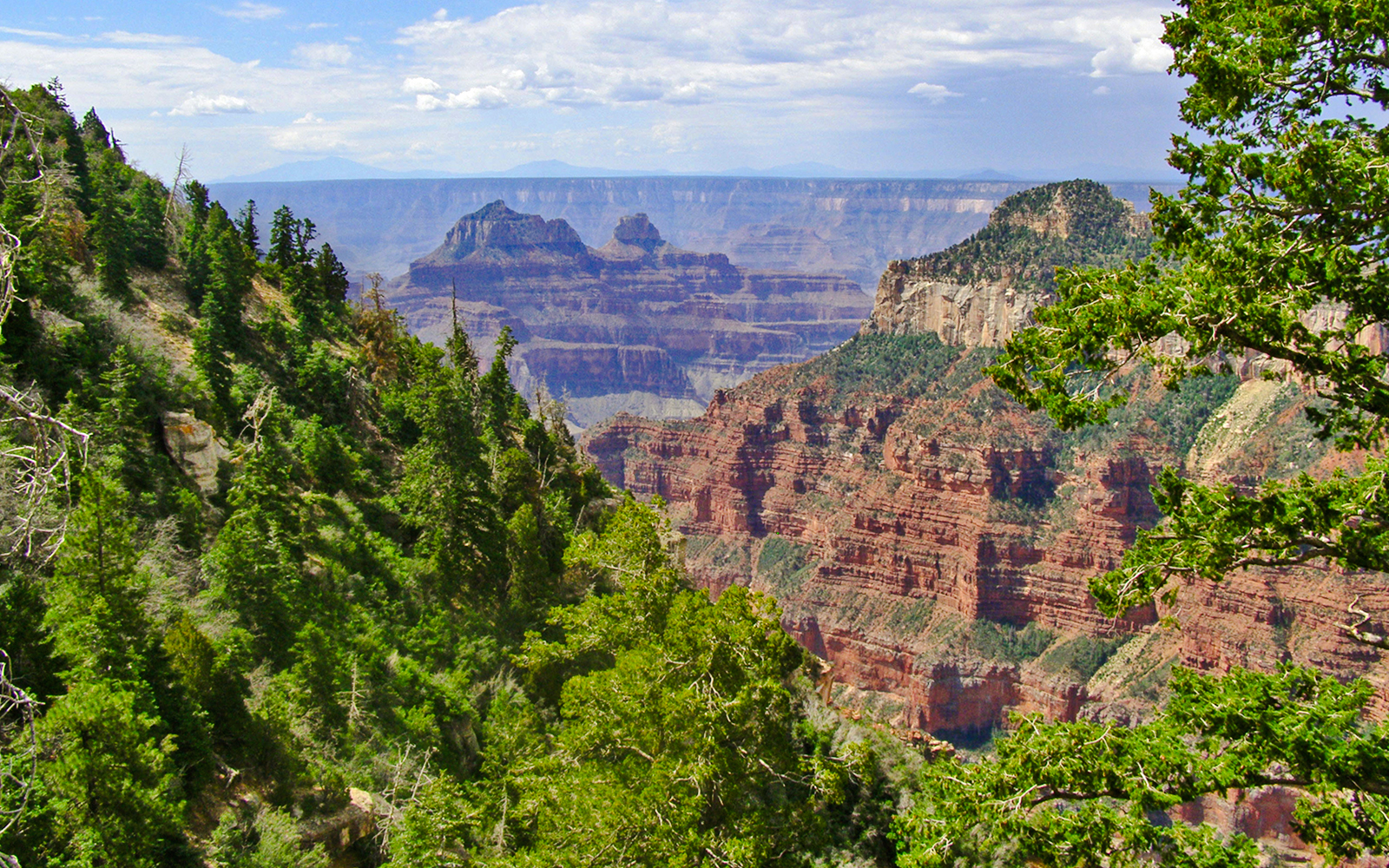 Grand Canyon view from North Rim campsite with tents and pine trees in foreground.