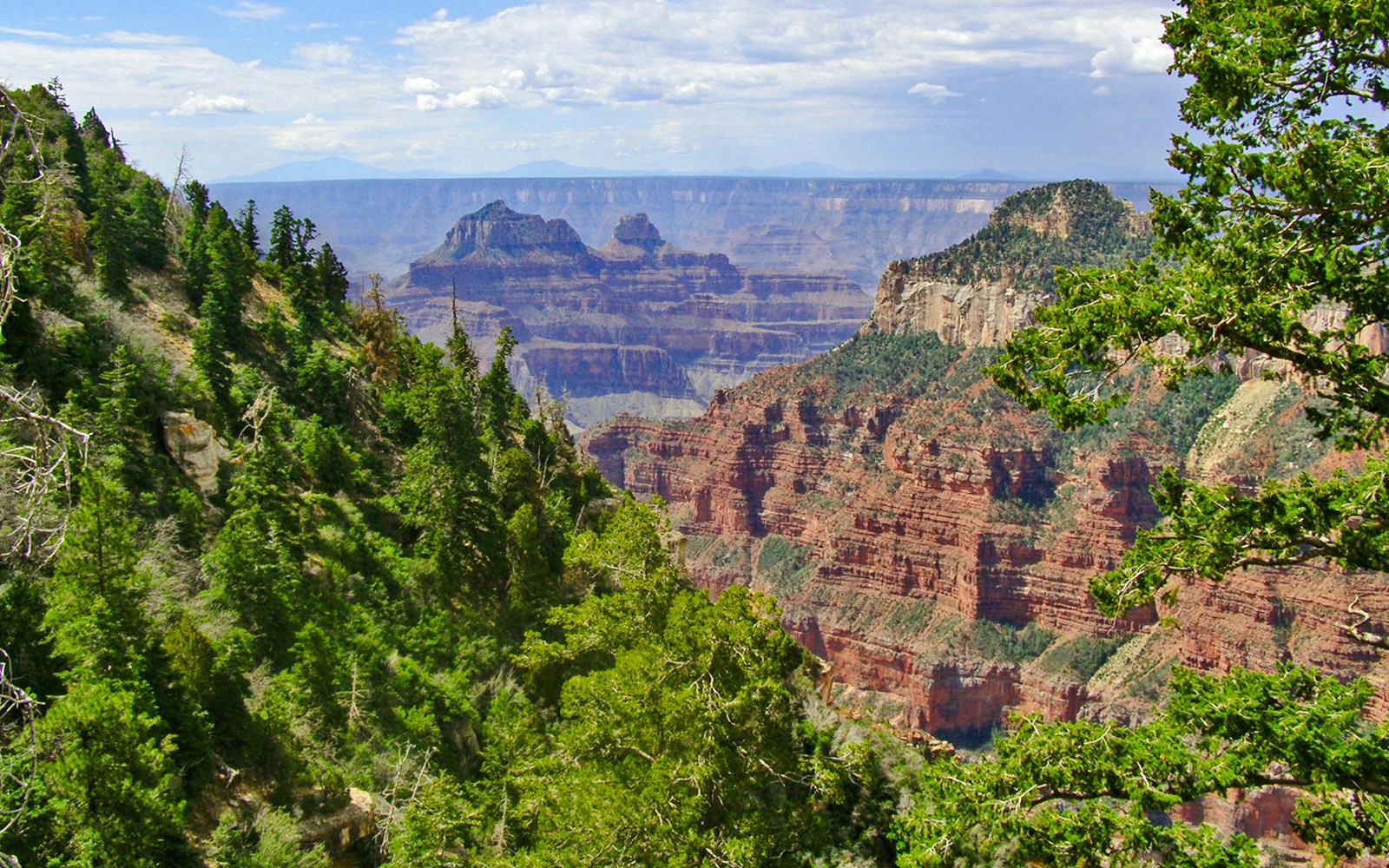 Grand Canyon view from North Rim campsite with trees and layered rock formations.