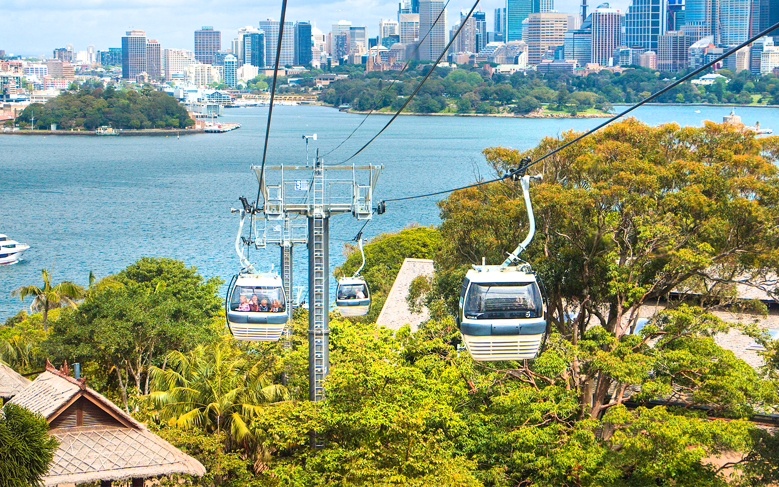 Sky Safari cable car gliding over Taronga Zoo with Sydney Harbour in the background.